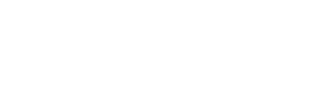 Vorensa Electric